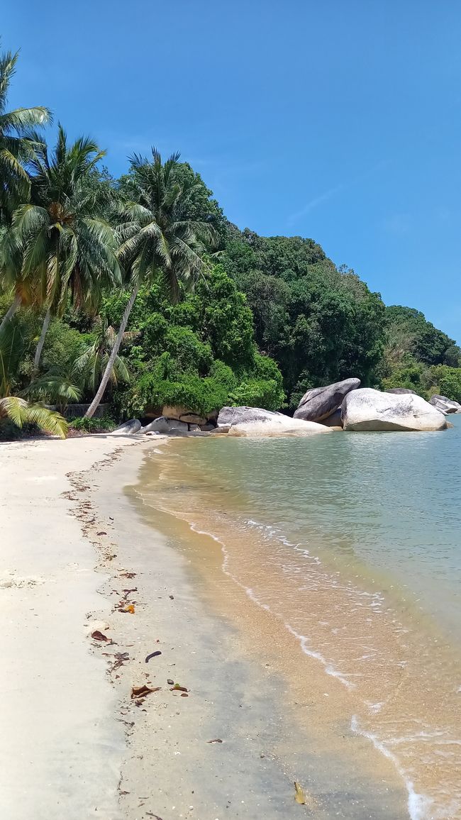 Solo beach-day
