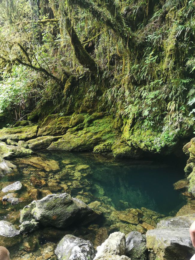 Te Waikoropupū Springs