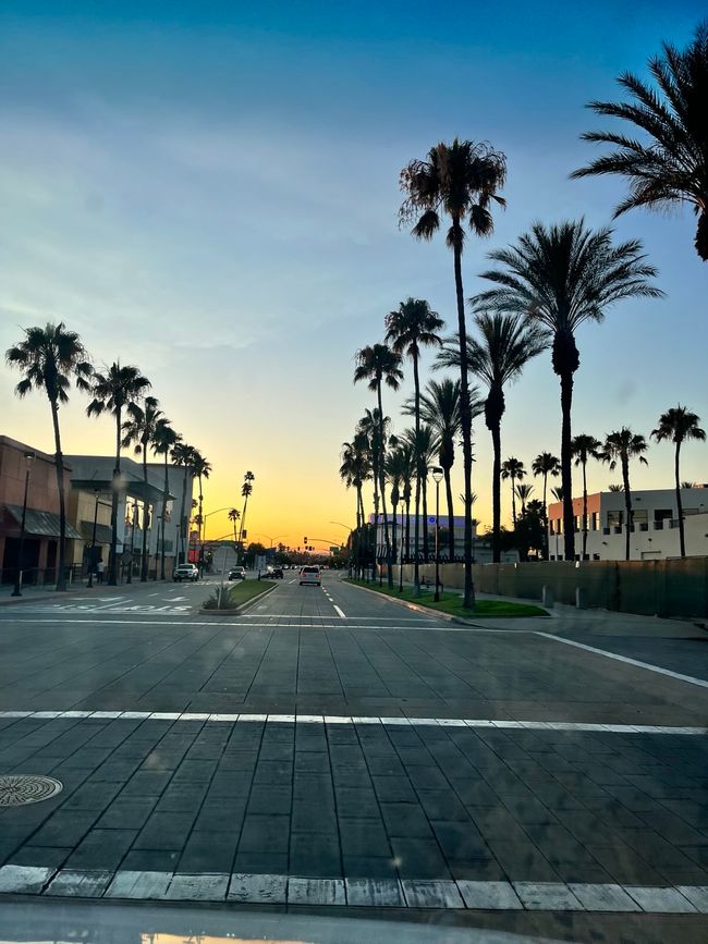 Hollywood