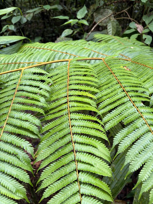 Unterwegs in Costa Rica