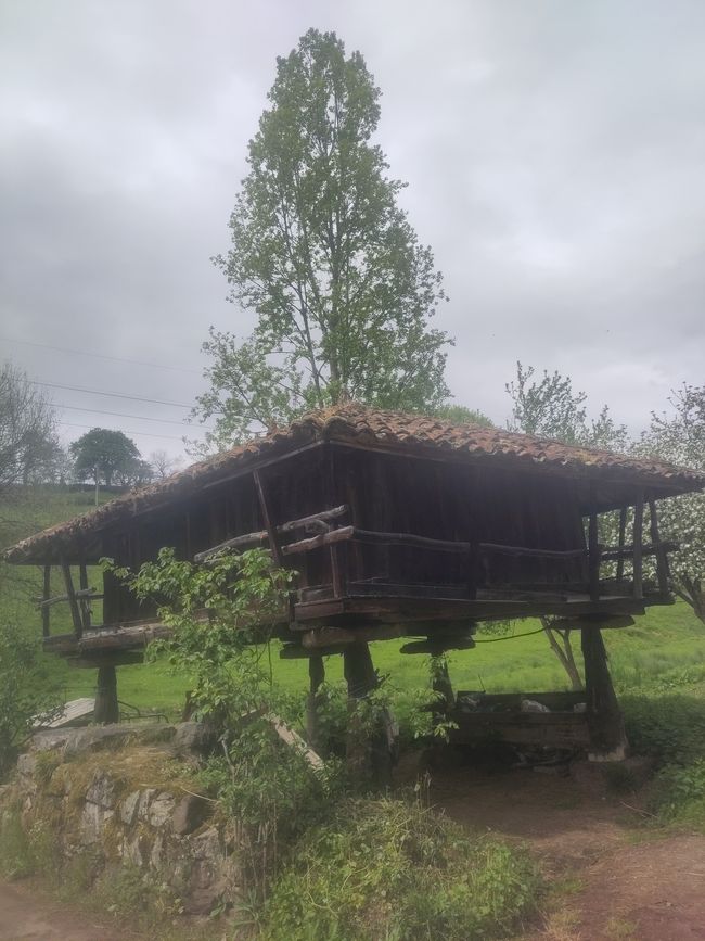 Horreo, Maisspeicher