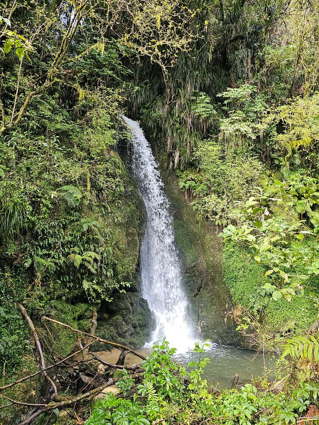 McLarren Falls