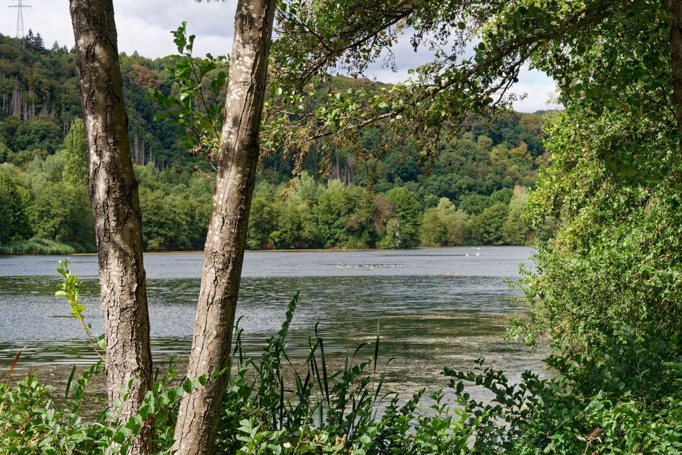 Am Echternacher See