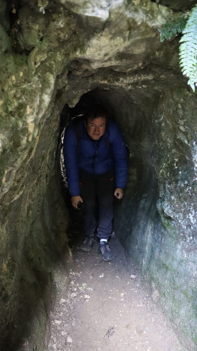 Wanderung am Waimoto Walkway