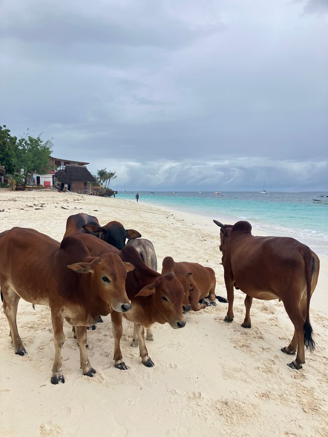 Nungwi Beach - Zanzíbar