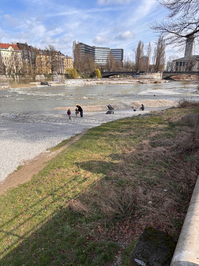 Isar meadows