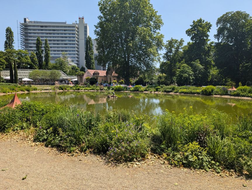 Ludwigsburg ● Blühender Barock Garten