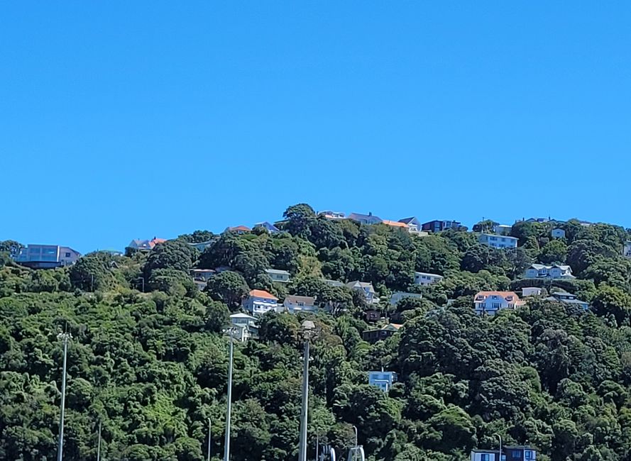 Jour 82 sur 175 : Croisière autour du monde - Wellington/Nouvelle-Zélande