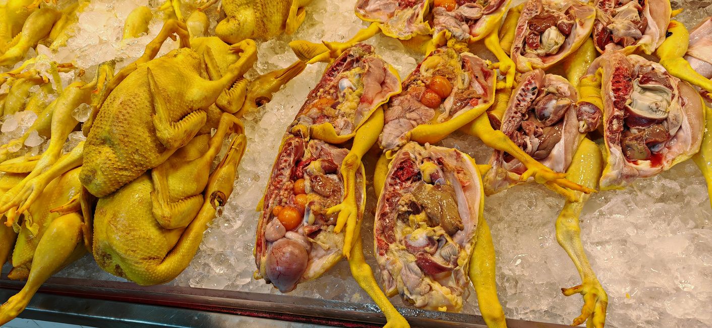 Hühnchen mit Innereien, ordentlich angerichtet