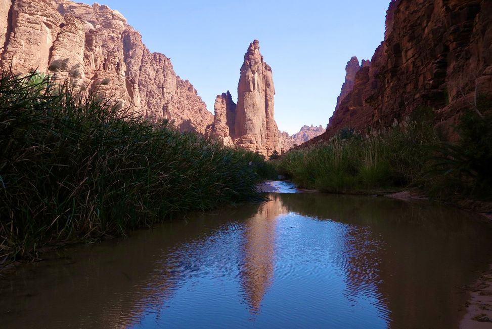 Süßwasserquellen und üppige Vegetation in Al-Disah
