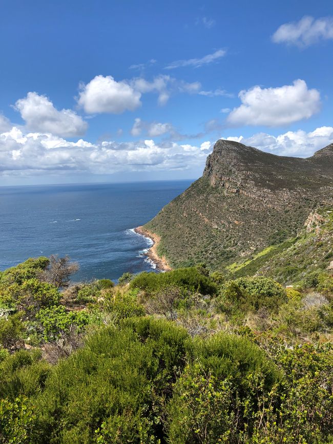 #5 - Cape Town - At the Cape of Good Hope