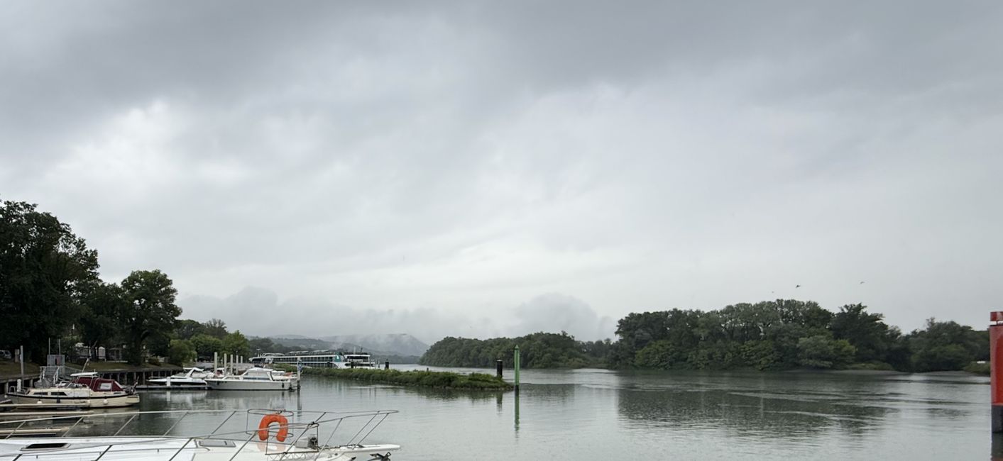 Port de Viviers, croisiériste