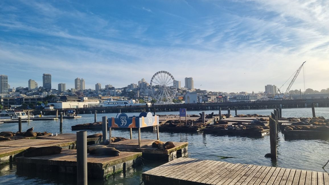 USA West Coast Roadtrip - Tag 7