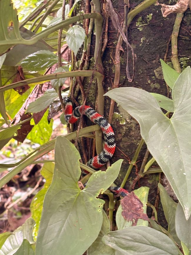 Unterwegs in Costa Rica