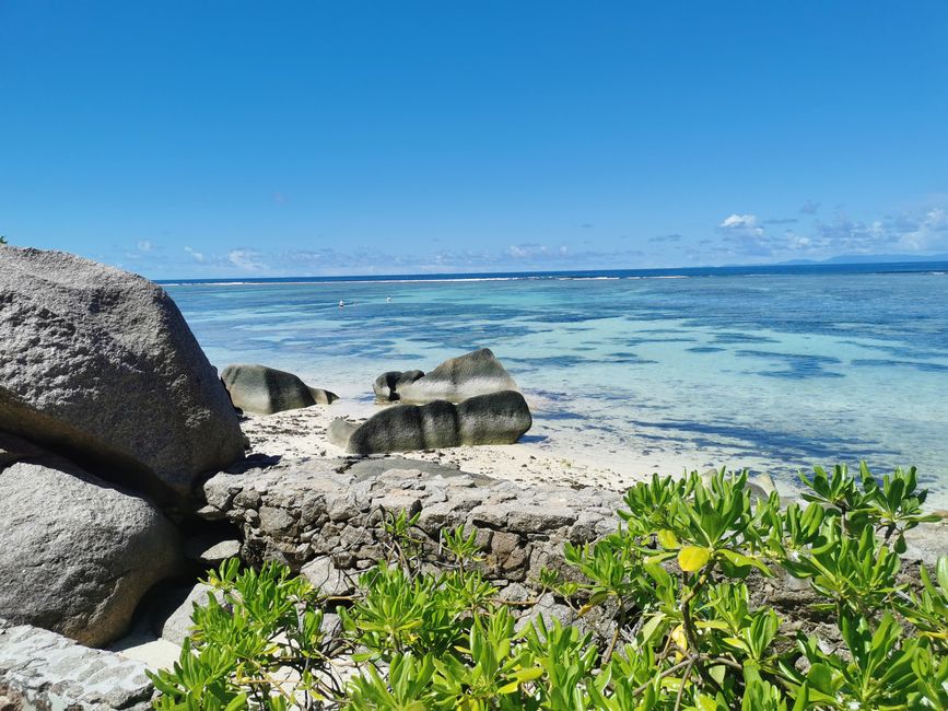 🇸🇨 Seychelles