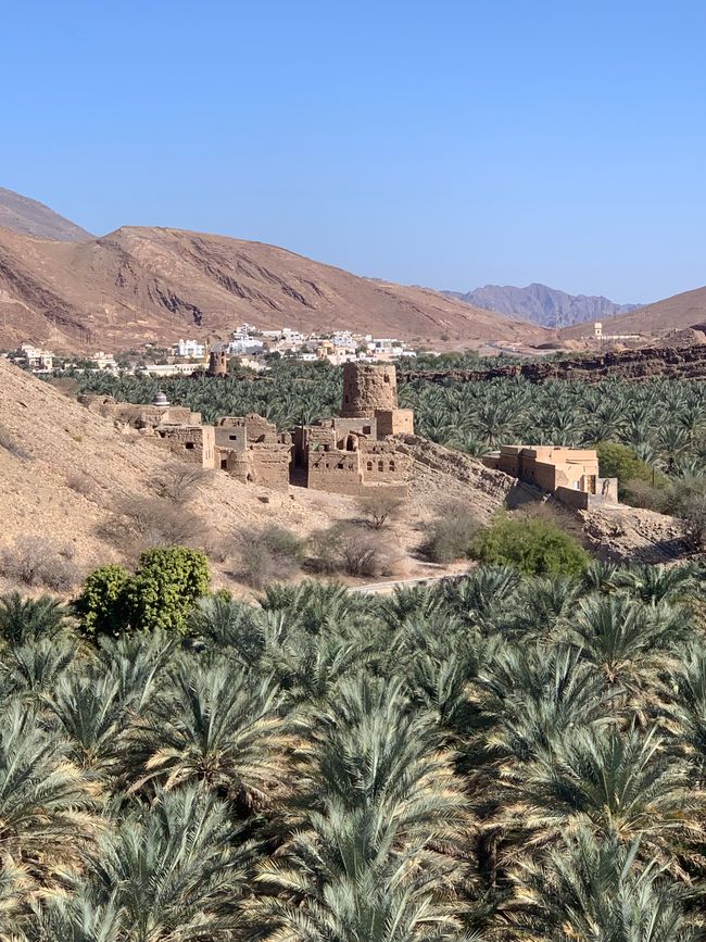 Nizwa e dintorni
