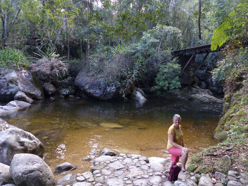 Brasilien, Atlantischer Regenwald