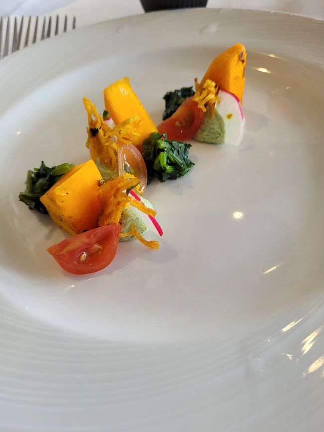 Tag 85 von 175: Kreuzfahrt rund um die Welt  - Routenänderung  wegen der Wetterbedingungen  - Kreuzen im Dusky Sound und Breaksea Sound/Neuseeland