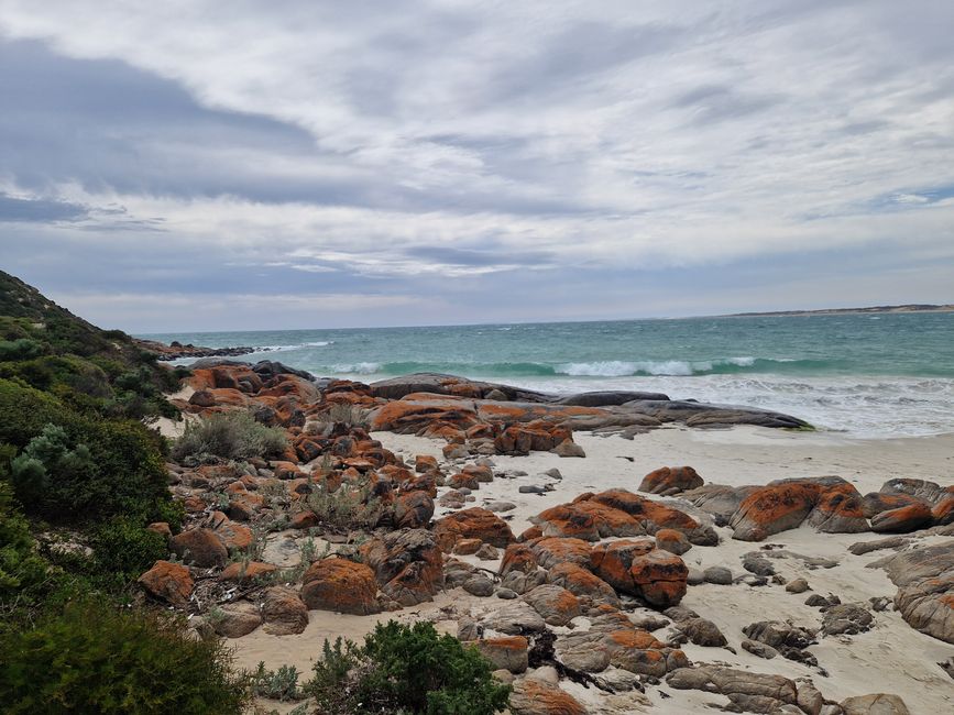 Beach in Dhilba Guuranda-Innes National Park