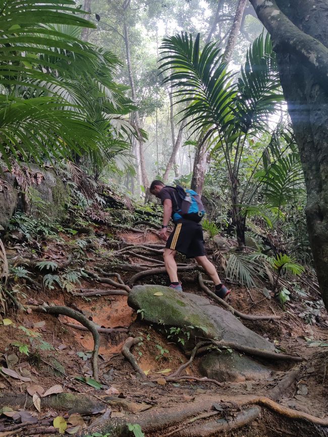 Seychellen - Tag 4: Weiterfahrt vom Süden in den Norden der Insel Mahe