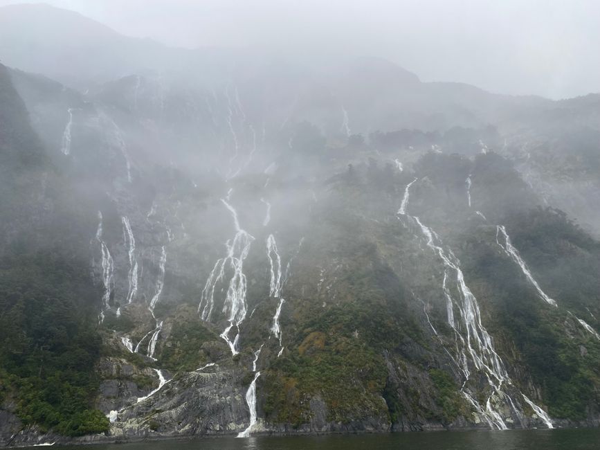 Road trip to Milford Sound