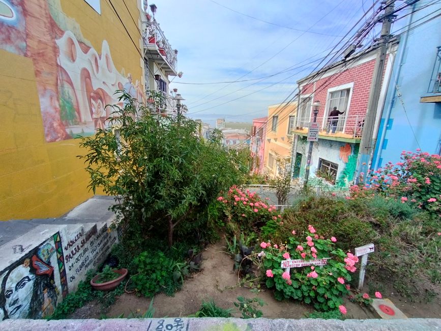 Valparaiso & Back in Santiago
