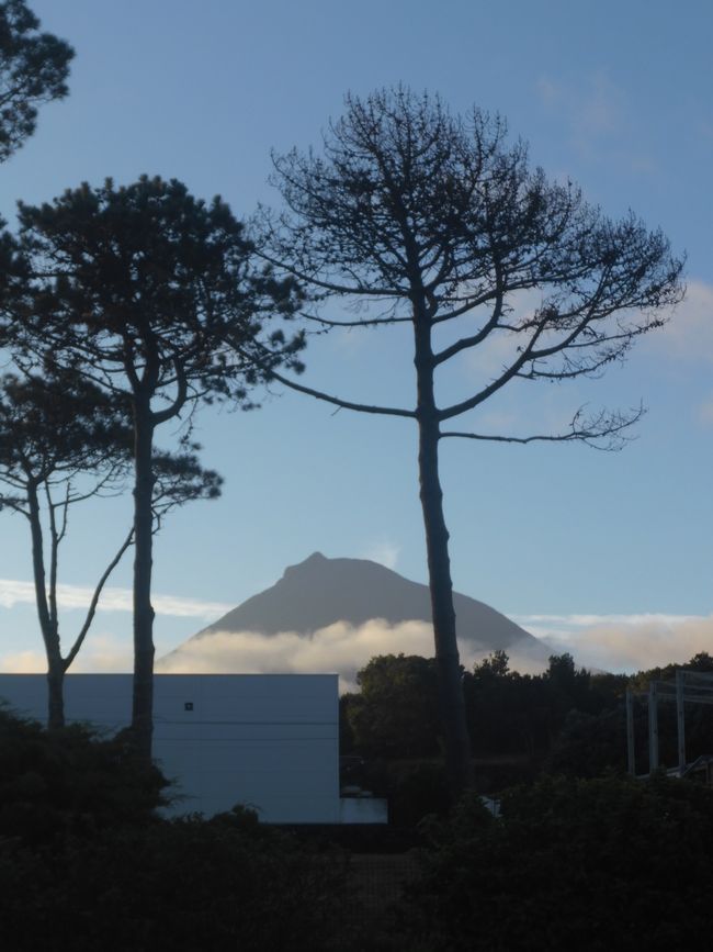 Der Pico am Morgen