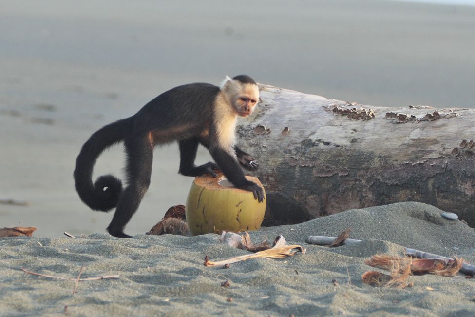 Costa Rica 2025