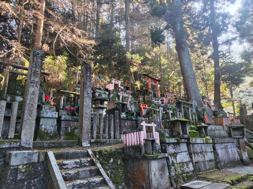 Over 10,000 Torii, I mean gates