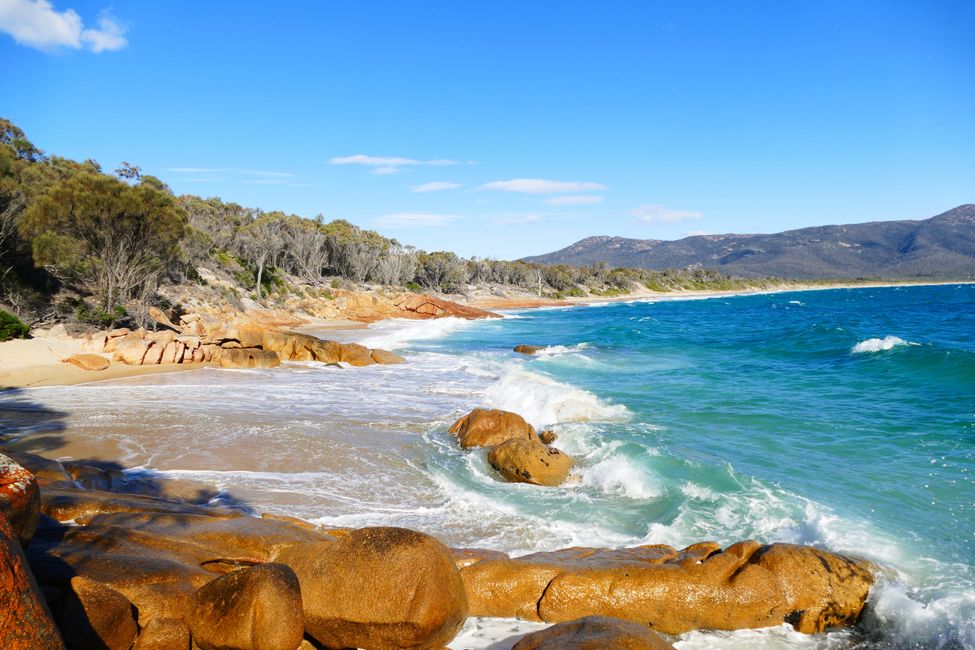 - Singapur & Tasmania 2019 -