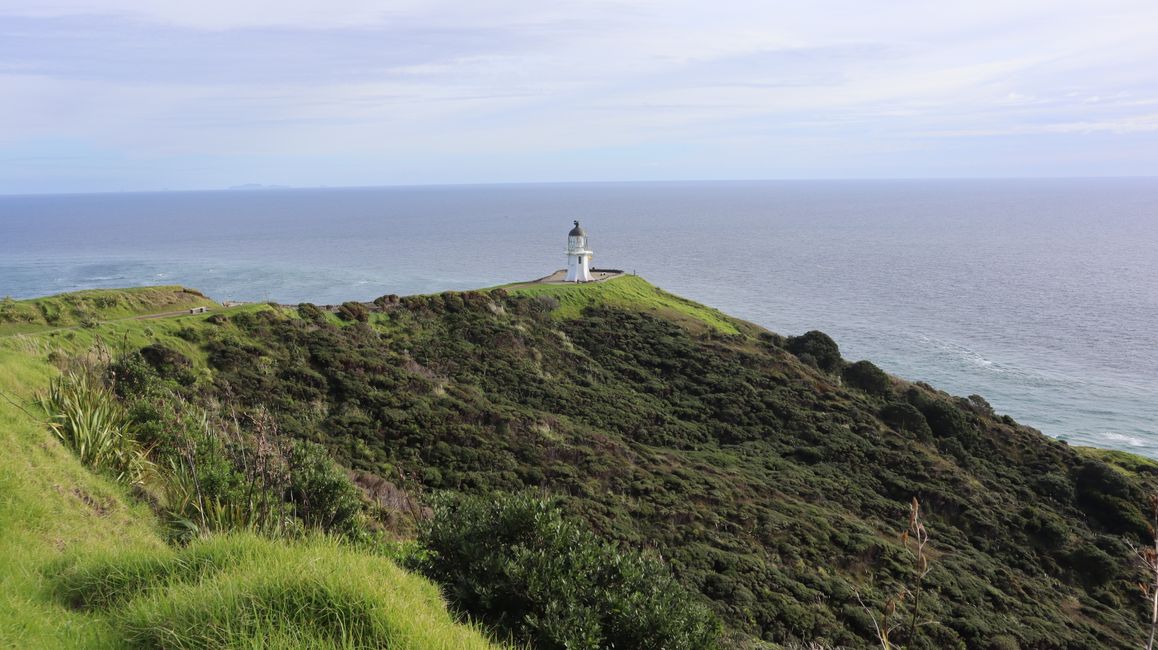 Cape Reinga - das nördliche Ende Neuseelands