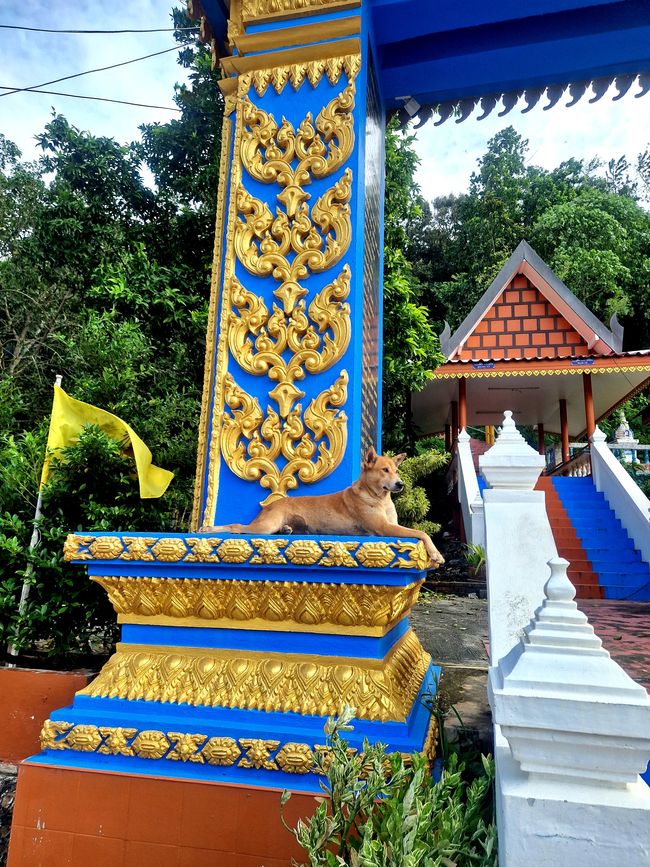 Wat Pak Nam Chumporn