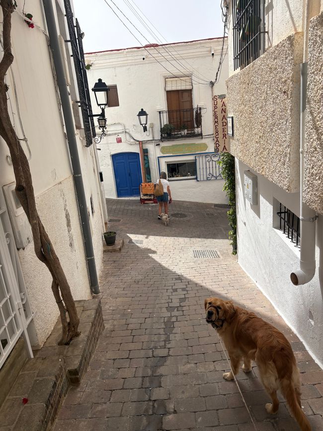 Nothing doin’ here