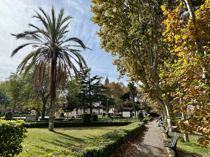 Ein Blick in den Park von Vada.