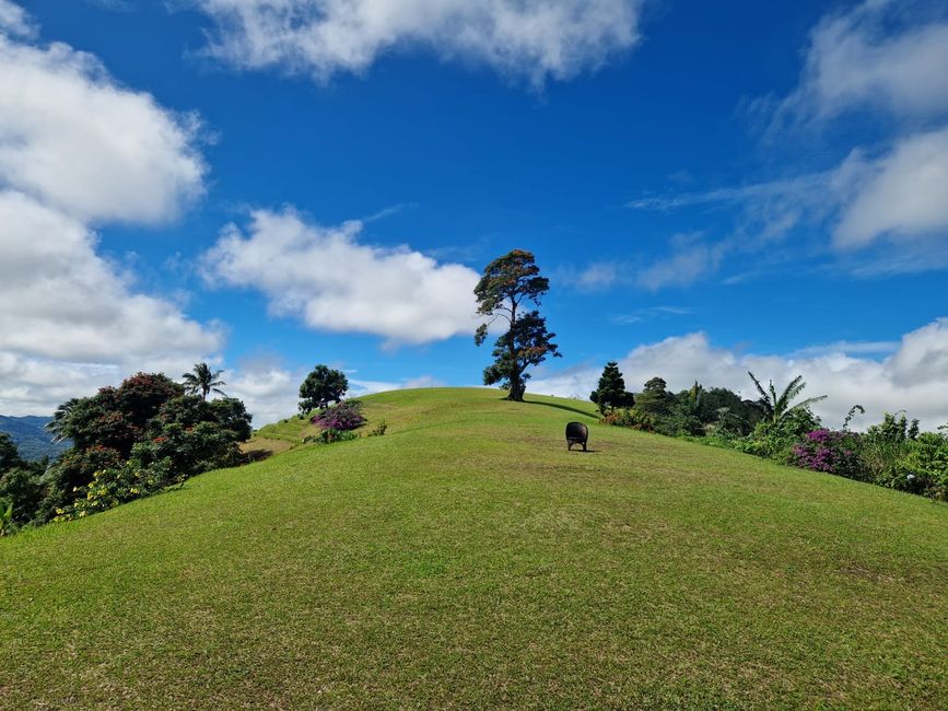 Tag 10 Tomohon in Moped