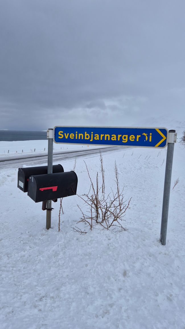 # Zwischen Schneesturm und Hot Tub – Ein wilder Roadtrip nach Akureyri ❄️