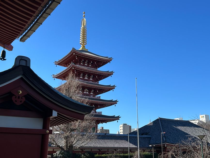 Cesta do Japón