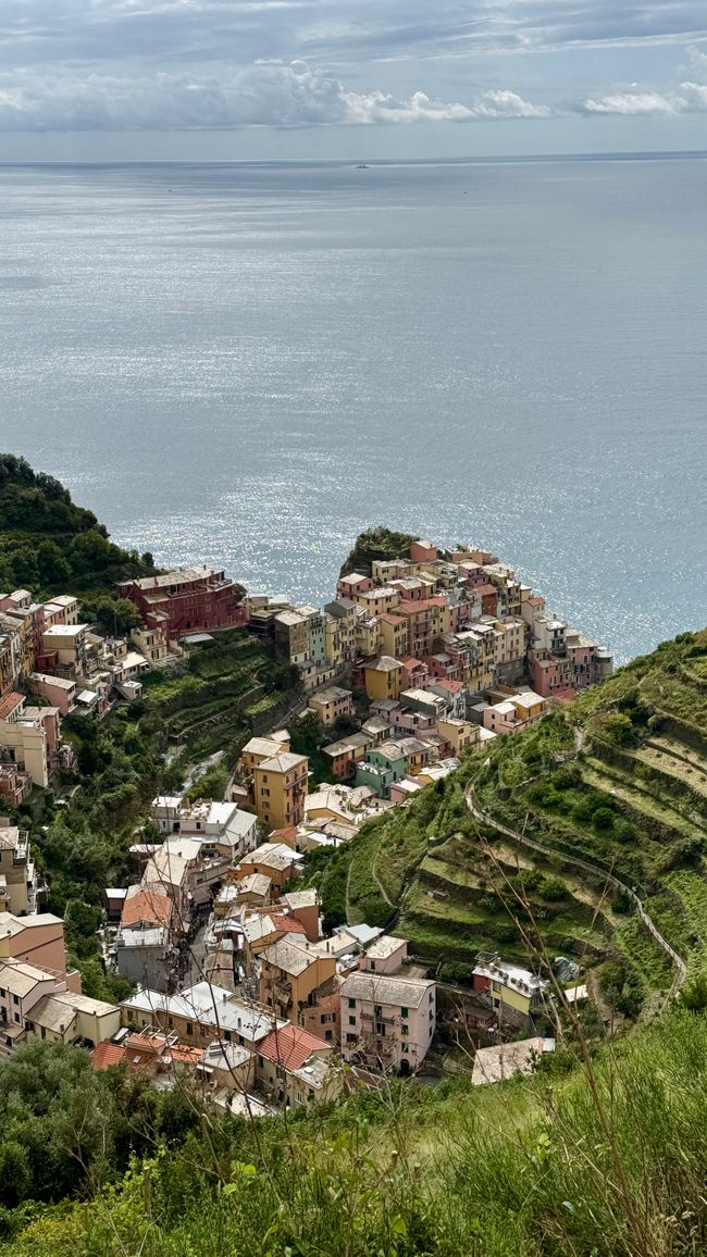 Manarola