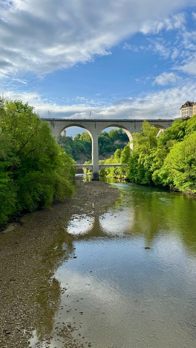 Von Freiburg nach Interlaken - Städtetour, Wings for Life & Wanderglück