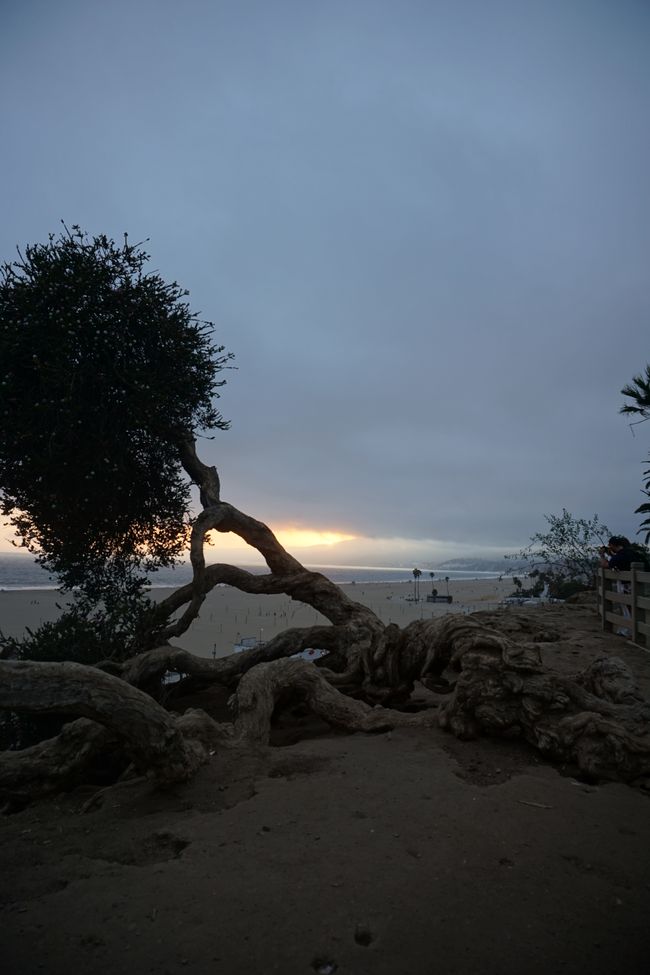 Tag 19 - Venice Beach, Santa Monica & Abschied aus Kalifornien 