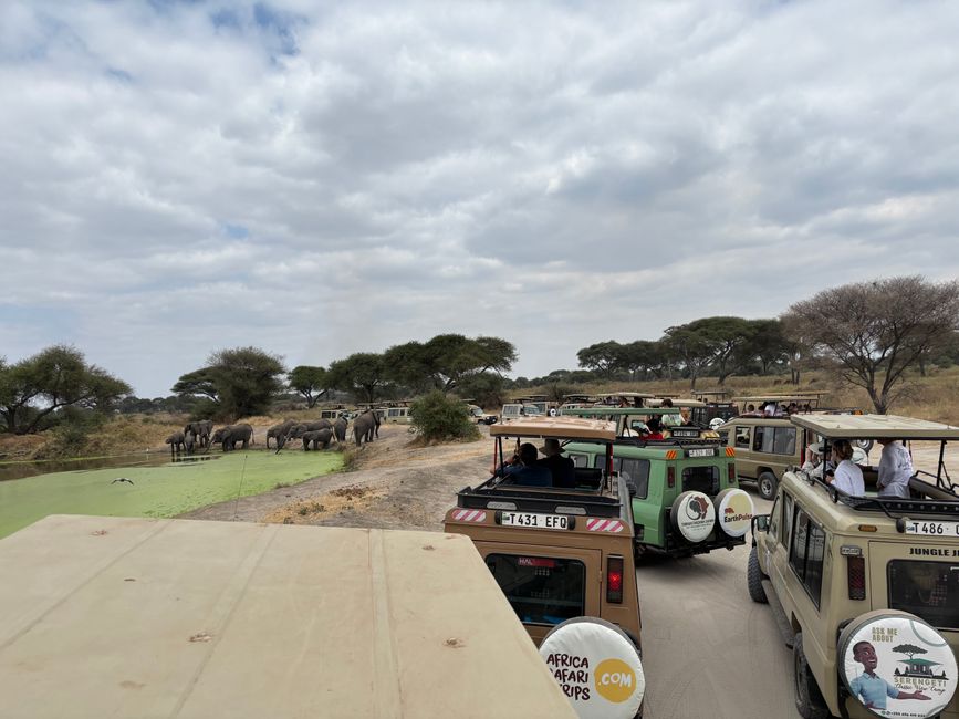 Parc national de Tarangire