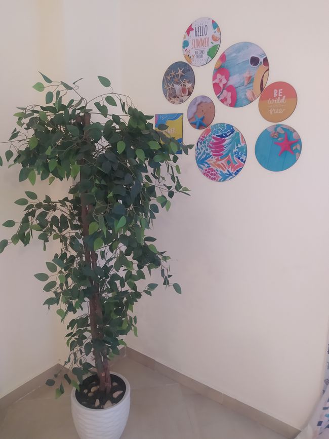 请带我去海滩