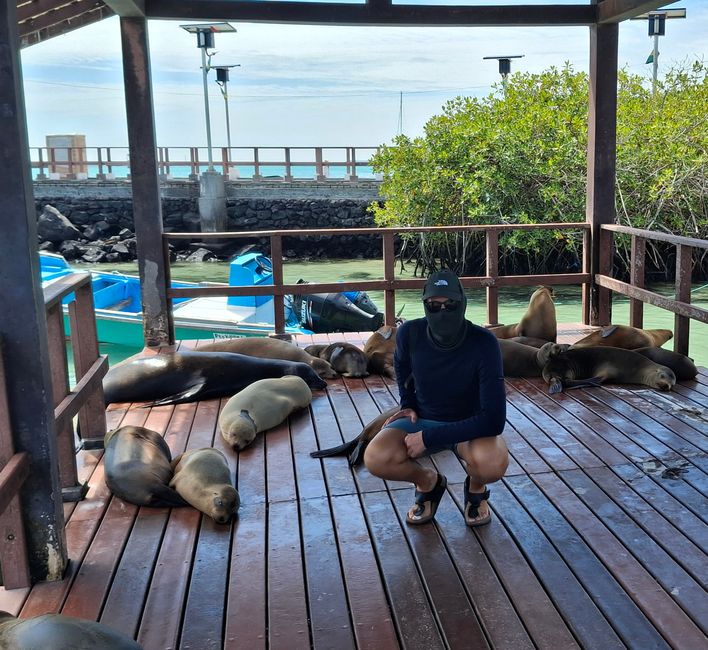 Galapagos Islands