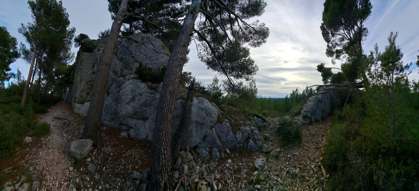 Los Aromas de las Alpilles