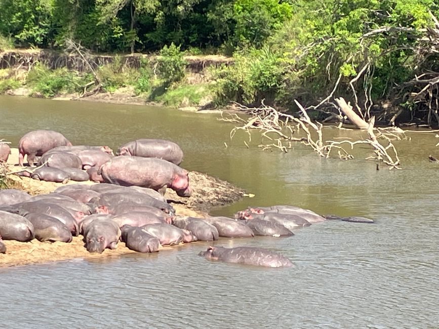 En la Serengeti - Día 3