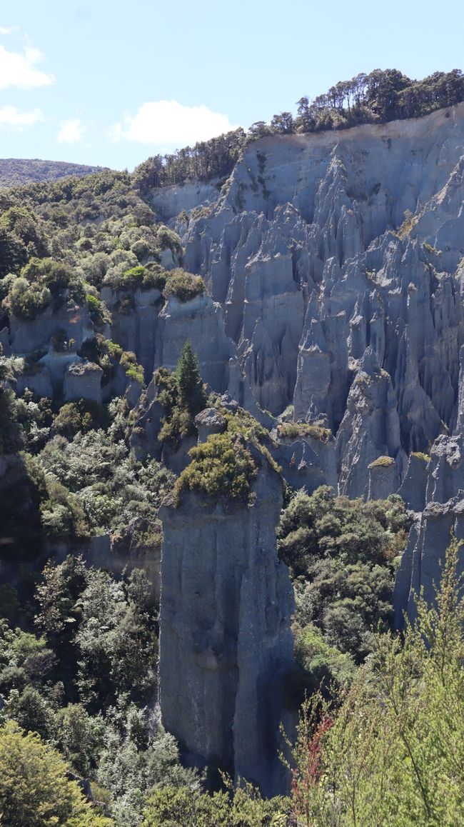 Putangirua Pinnacles 