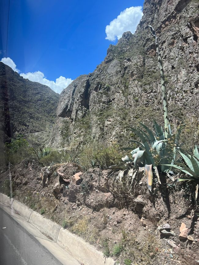 👷♂️Tag 30-2 (2.11.) Viaggio da Cusco ad Aguas Calientes ai piedi del Machu Picchu