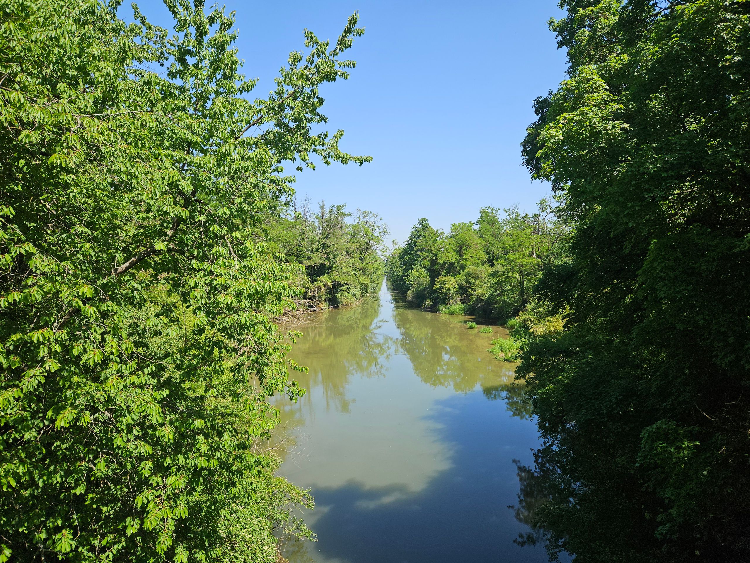 Canal du Rhone au Rhin