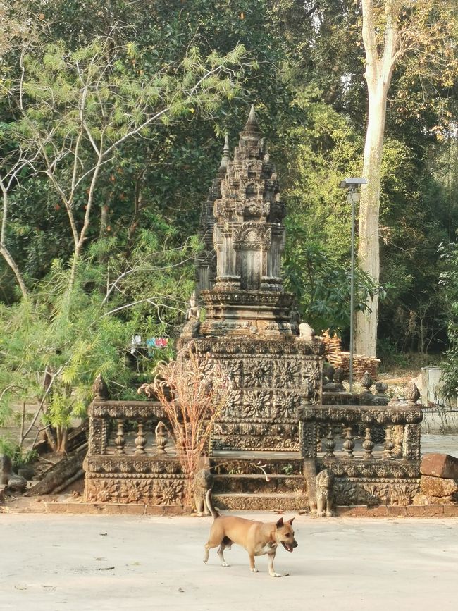 On Temple Tour in Siem Reap