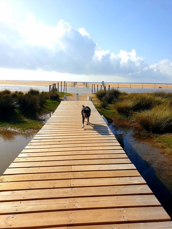 Verso il nostro quartier invernale... Tarifa, stiamo arrivando 60A